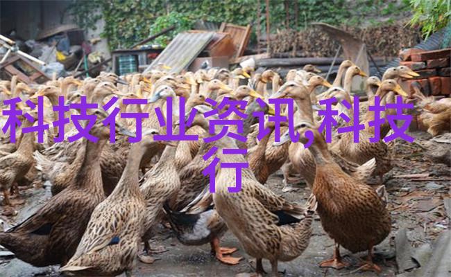 对于敏感皮肤的人来说选择什么类型的空氣調節系統最为安全呢