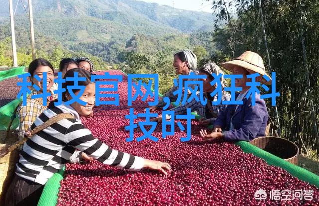 环境因素如压力流量会对闪蒸干燥效率产生什么影响