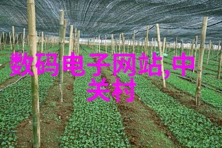 千岁大人之怒天下皆知