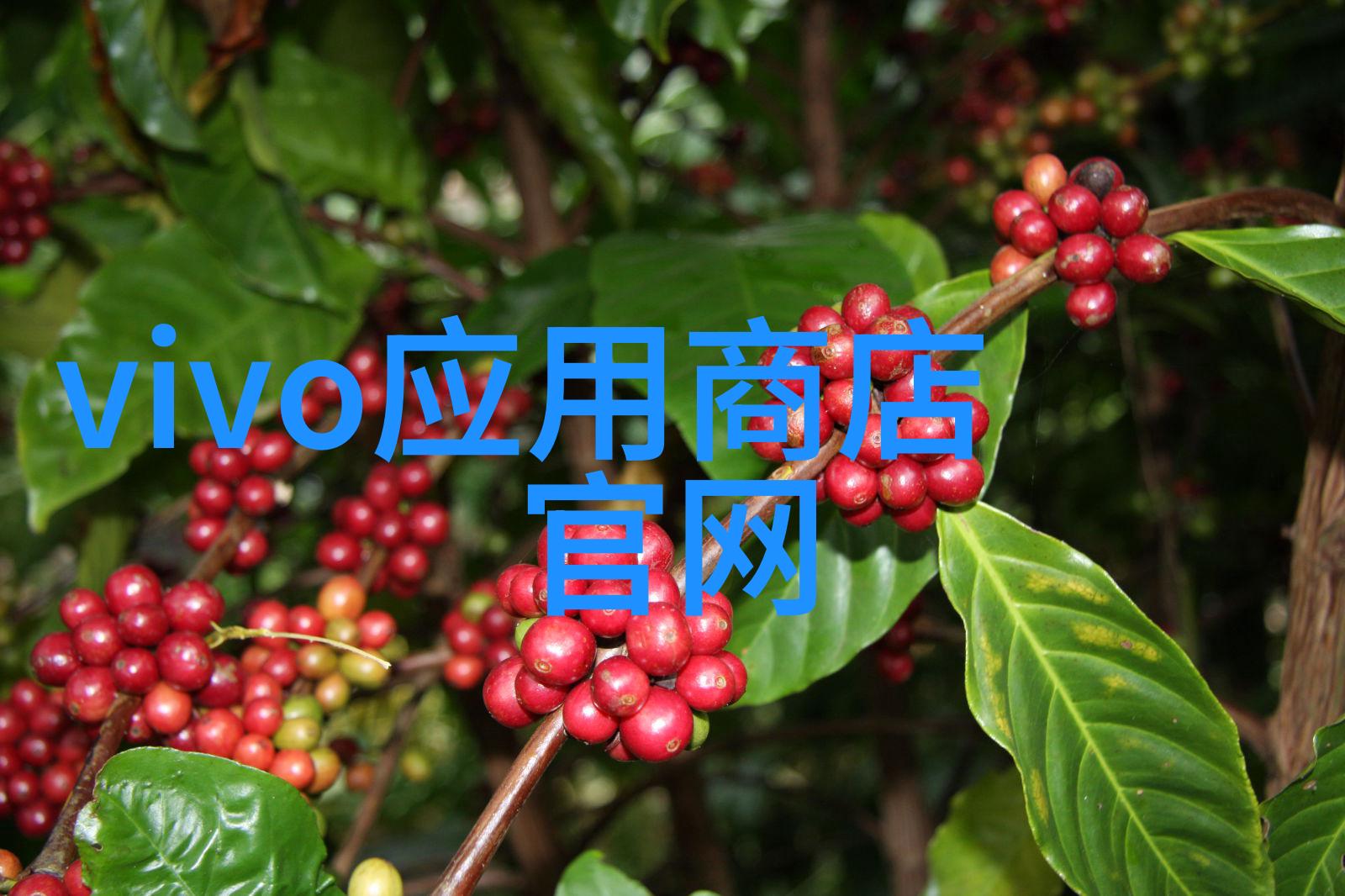 化工行业八大类驱动化学变化的工业巨轮