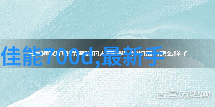 如何在有限的空间内为兔狗设计一个既实用又美观的休息区