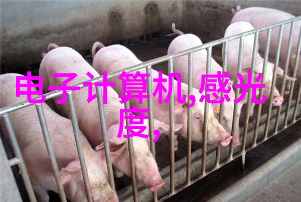 铝之翅冲孔板的奥秘与应用