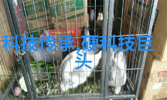 环境友好环保无污染绿色生活中的红外热能消毒器