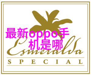 探索好家装修公司创意设计与卓越服务的完美结合