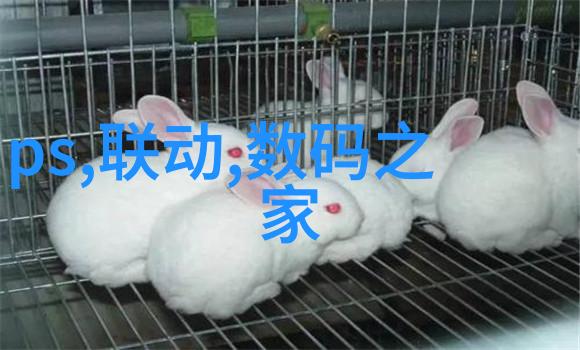 信息技术我是如何通过学习编程提升生活质量的