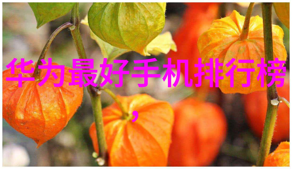 货币政策的节奏揭秘中央银行调整r利率的频率与逻辑