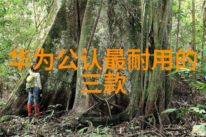 客厅空间革命创意装修设计让生活更精彩