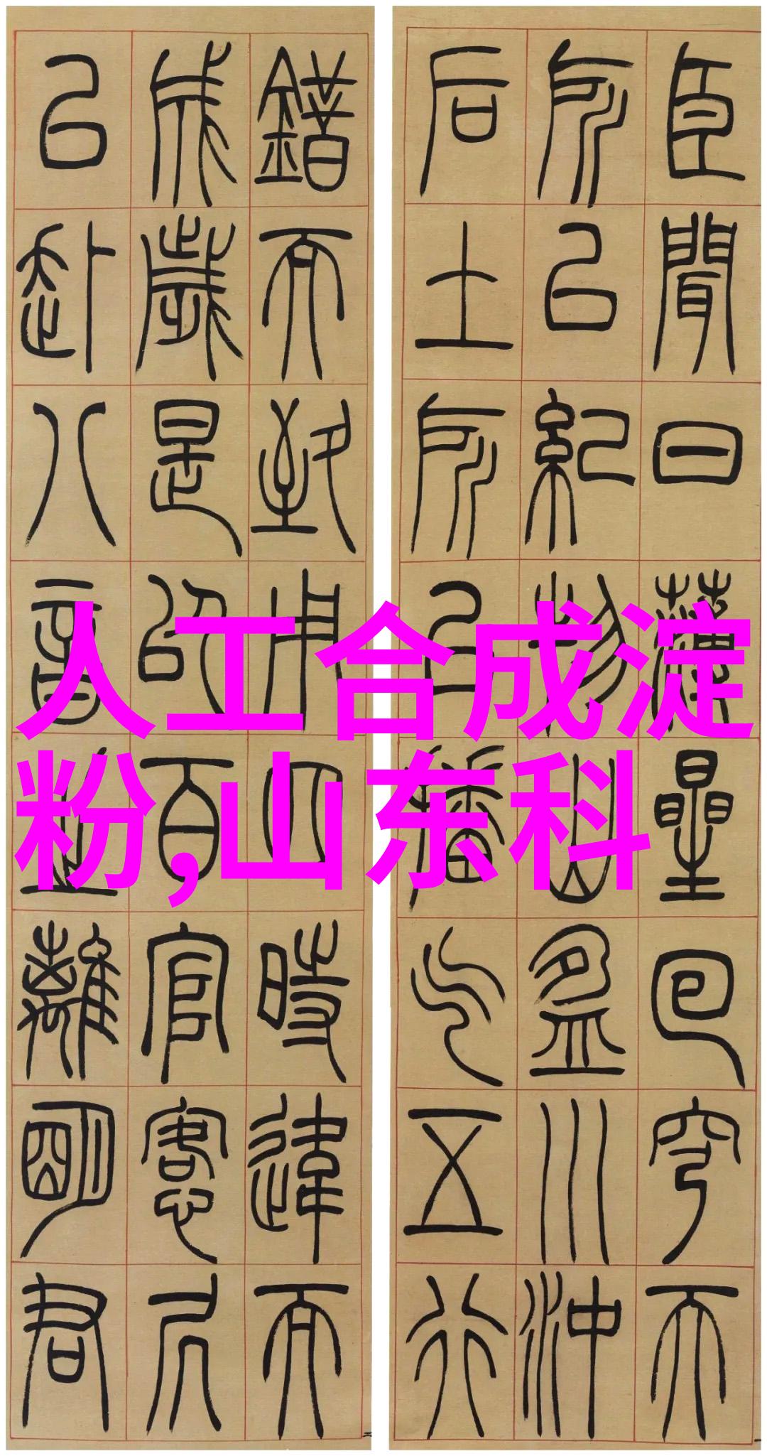 幕后工作者中文字幕一线产区与二线的对比与挑战