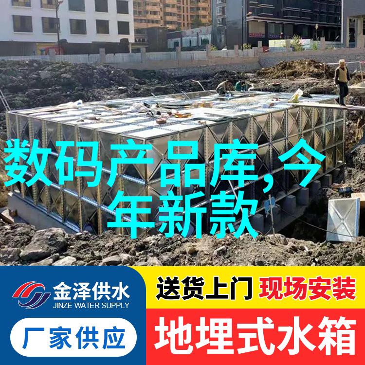 重生之首长的小媳妇穿越时空的爱与责任