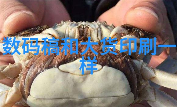 爆炸极限火山的怒吼与沉默