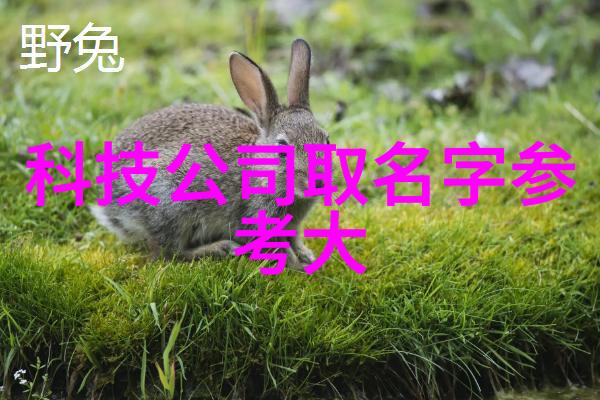 不锈钢生产公司高质量不锈钢产品制造