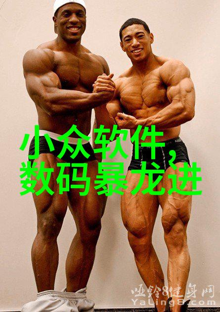 探究丝网孔隙率之谜从微观结构到工业应用的全方位解析