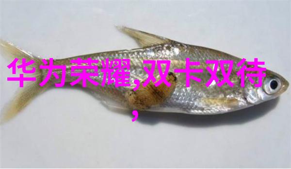 医疗高压灭菌设备厂技术创新与安全规范的双重驱动