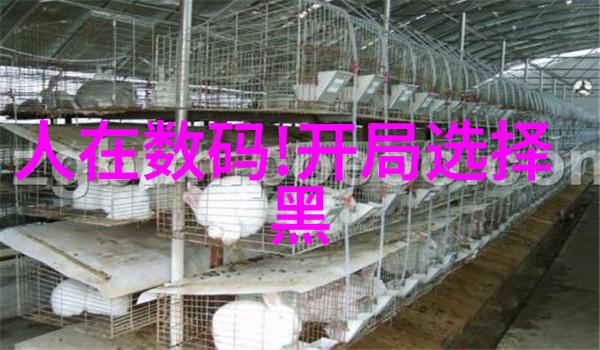 管道连接技术之鲍尔环确保DN50系统的稳固与安全