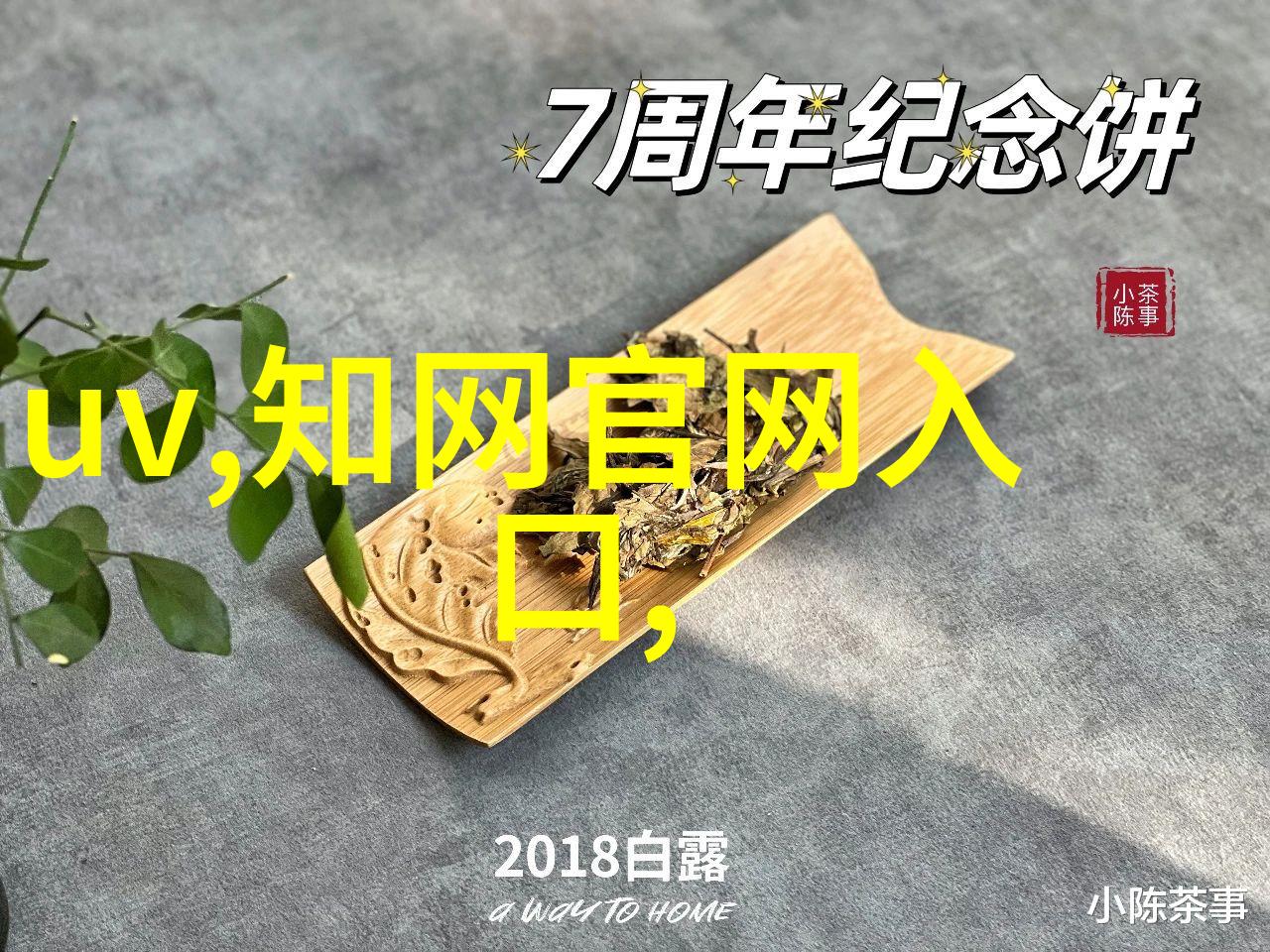 清流之源污浊中寻净化的奇迹