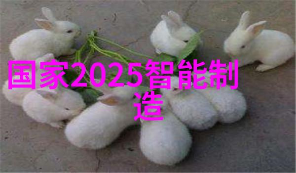 挖掘机配件精选提升作业效率的关键要素