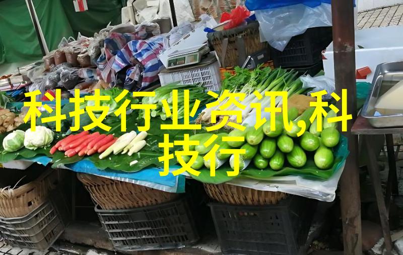 多功能固定的混合物固定层技术研究
