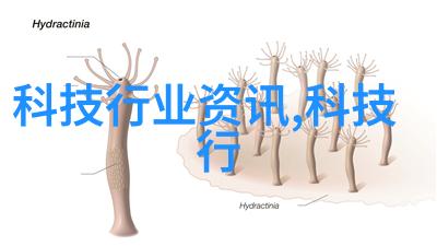 高级微生物实验室设备保护研究者安全的生物安全柜