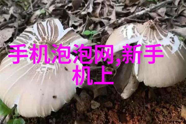 信用家守护家庭幸福的信任之本