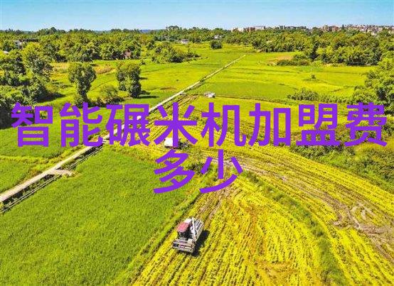 智能化规整filler系统介绍