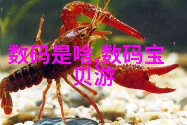 探索一套100多平方尺度家庭室内设计与安装费用的实用性解决方案
