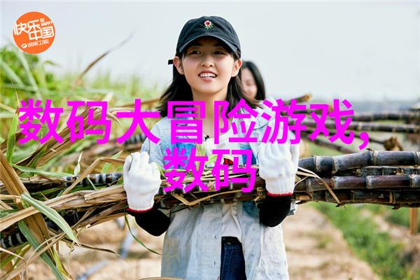 油水分离器内部结构图解析揭秘清洁与隔离技术的核心机制