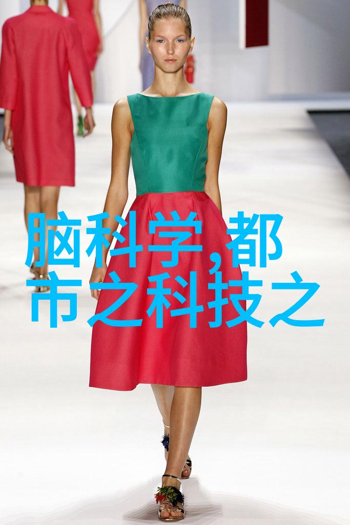 煤泥干燥设备从湿哒哒到干巴巴的奇幻之旅