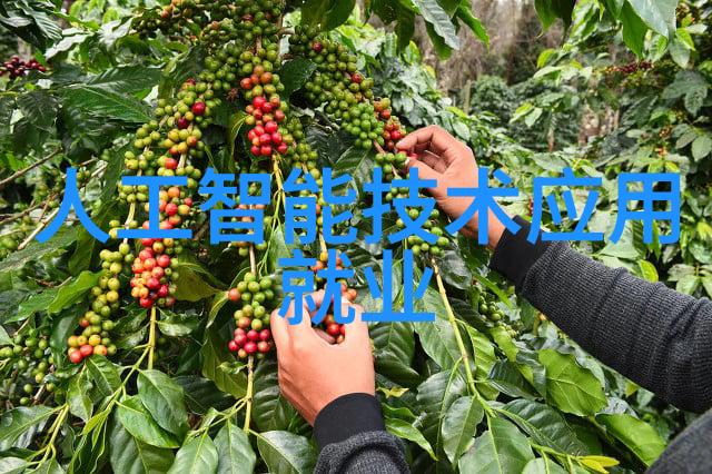 无尘车间装修多少钱一平方-高效洁净环境的成本考量无尘车间装修报价全解析