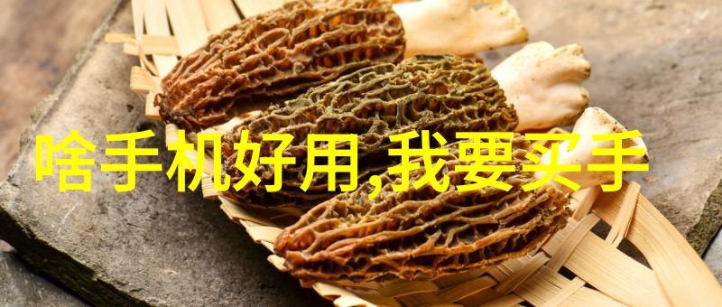 AI智能识别技术革新从图像到语音智能化生活的新篇章