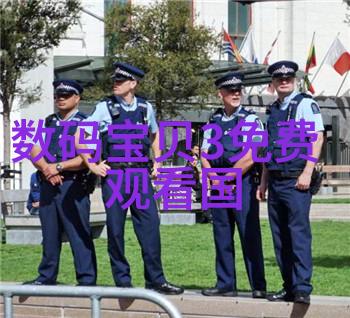 透明晶核与暗影编织芯片的双面世界