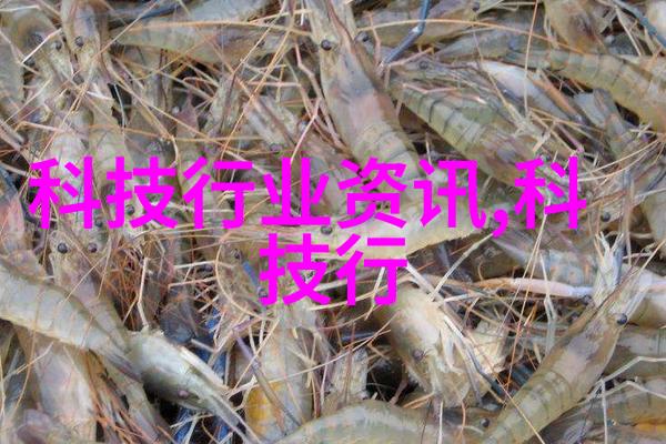 揭秘布袋除尘器堵灰原因过滤效率下降与维护疏忽