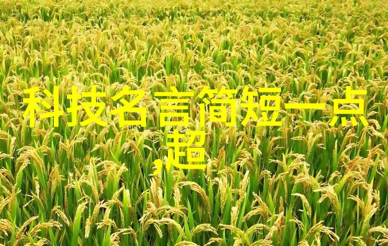 口腔医院的温馨与精致装修设计探索