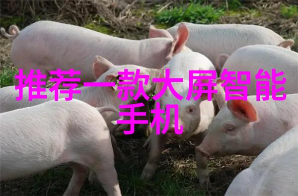 制药用纯化水设备确保药品质量的关键系统
