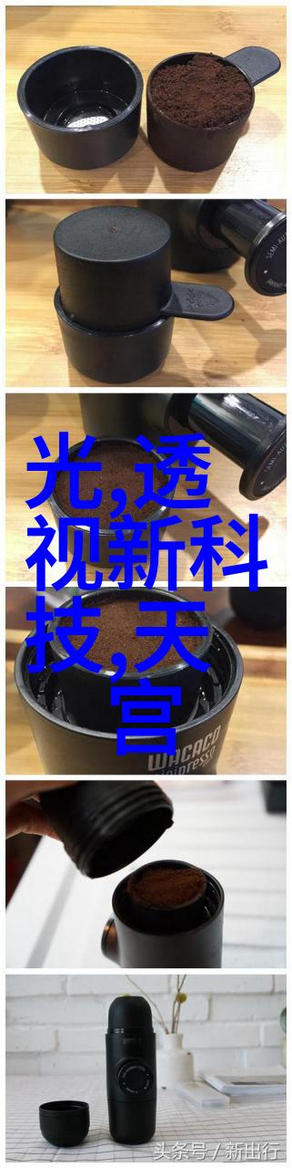 精灵森2魔法世界的秘密花园精灵与人类的友谊