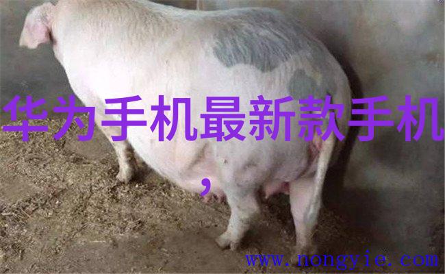 管道人才网最新招聘-新机遇启航管道行业顶尖岗位等你来挑战