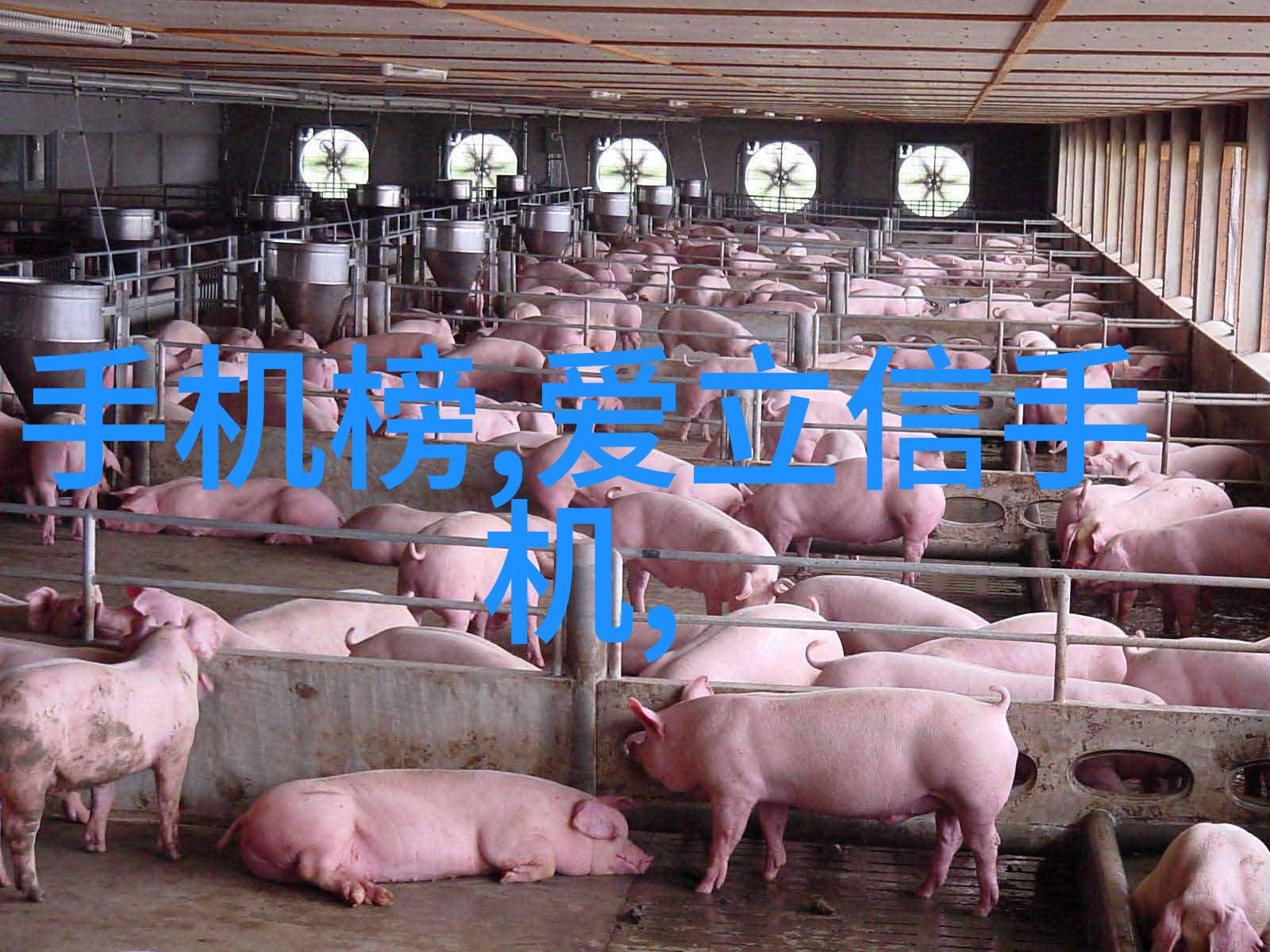 生产不锈钢板厂家直销我来告诉你一个超级好的秘密