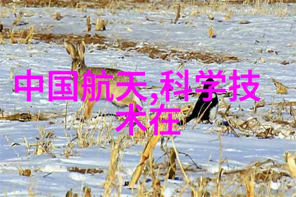 化学工业的基石硫酸氢氧化钠和尿素的重要性