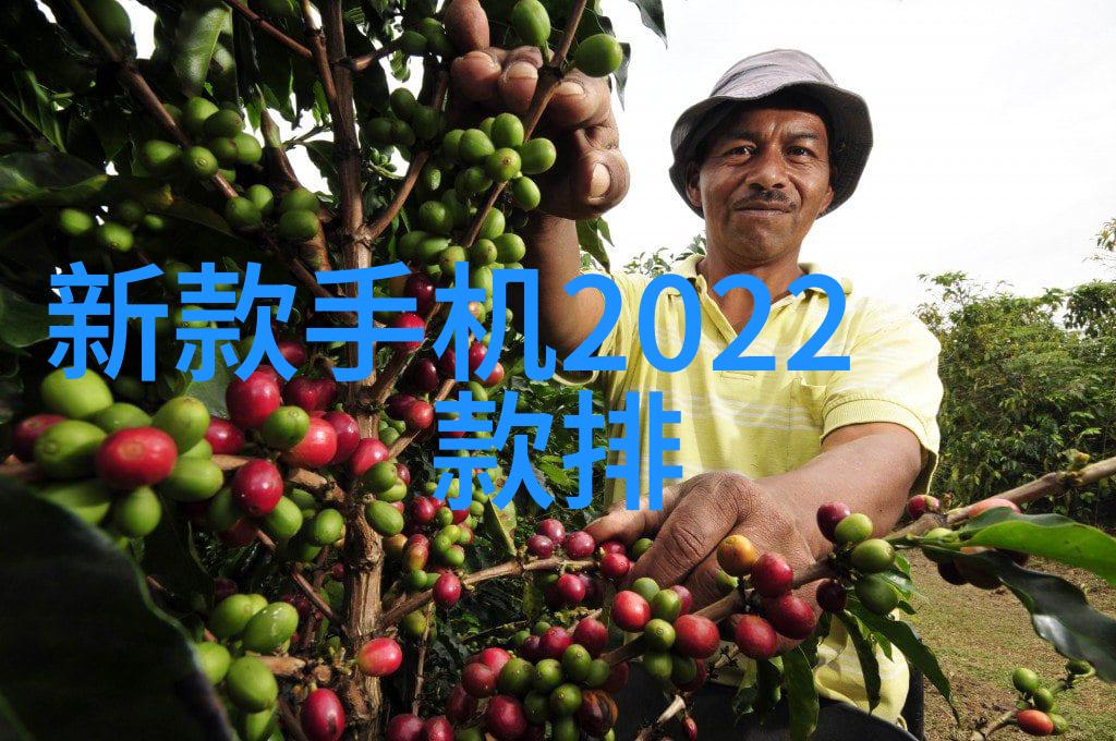 纯化水制备 - 净化水源的艺术揭秘各种纯化水制备设备