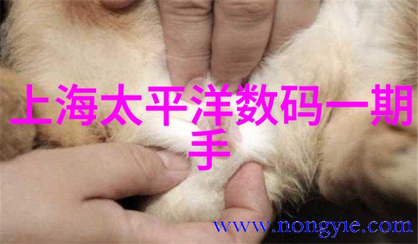 创意不限普通烤漆房装修的基本预算和注意事项