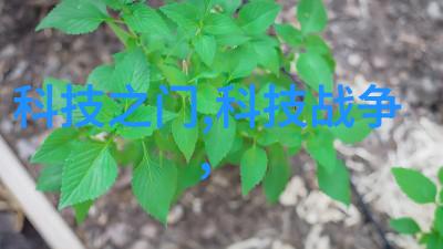 未来穿戴智能装备的奇迹与挑战