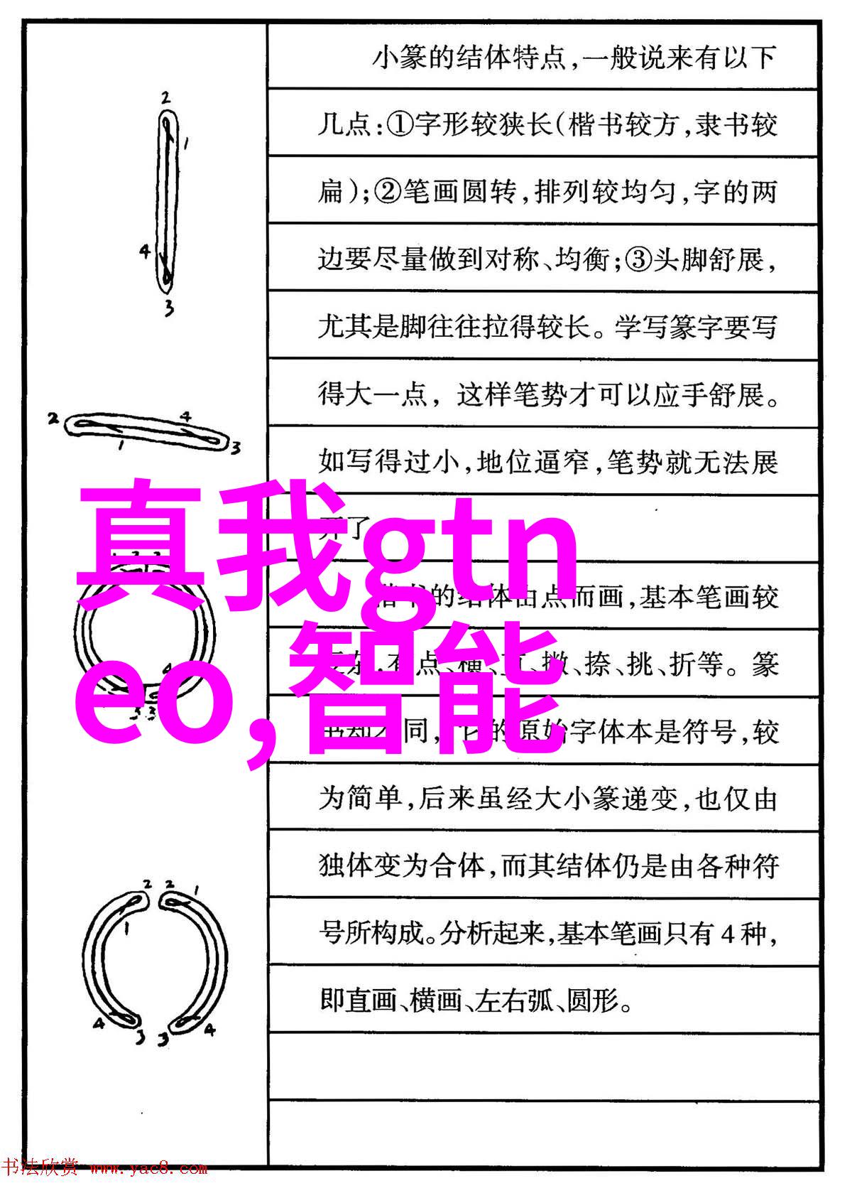 与室友共度的奇妙日子1V3的生活趣事