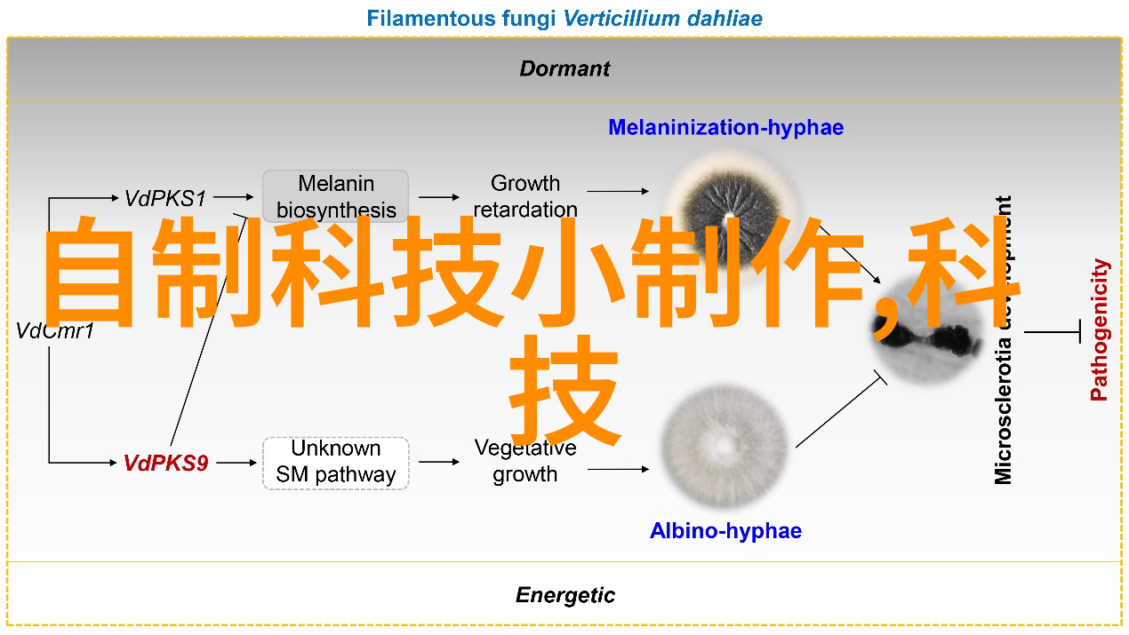 化工药包材制造设备的工艺流程是怎样的