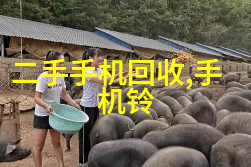 仿石漆我的家居装饰小秘诀