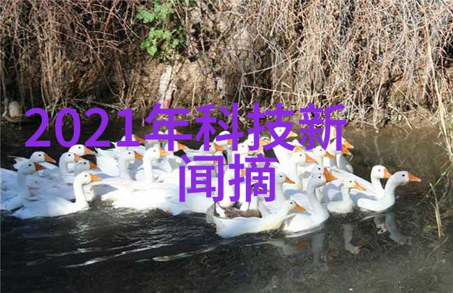 药品直接包装机械的用户需求与市场调查