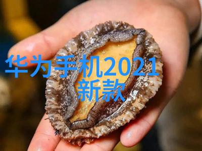 掌握自我检测个人如何安全有效地评估水质