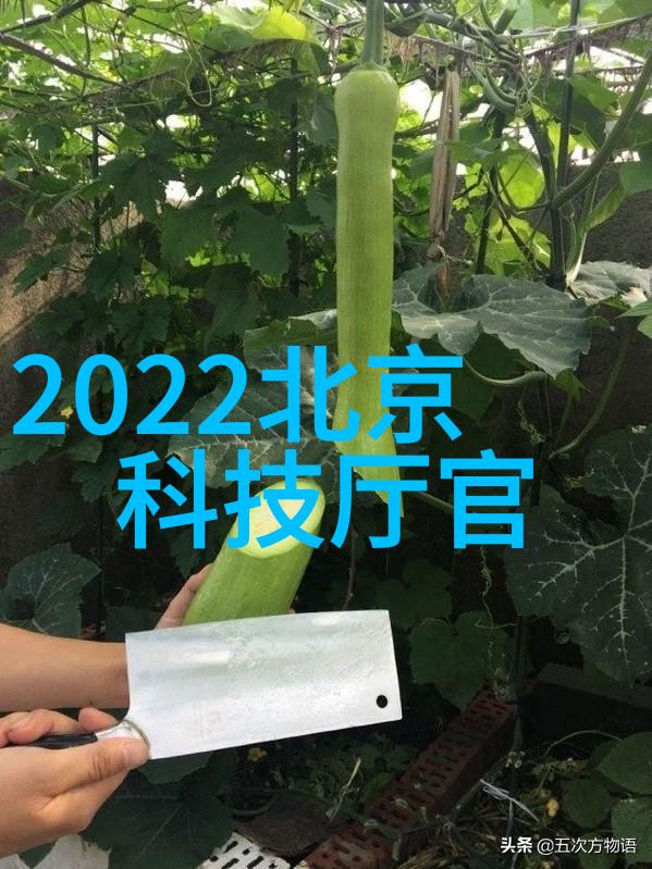 蜀都雅韵创意装修探索