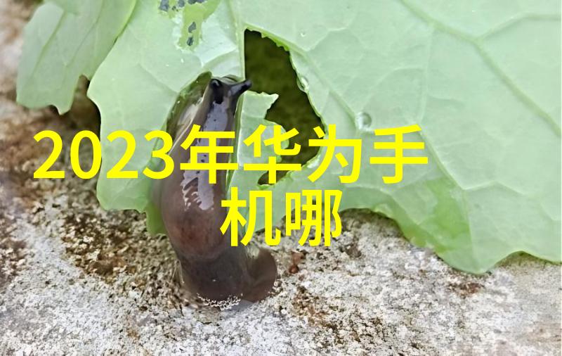 车载时尚揭秘汽车配件的秘密生活