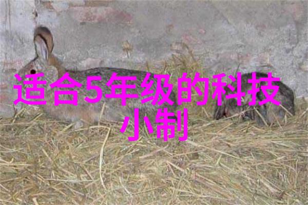 房屋装修合同详解保障 homeowners 的权益