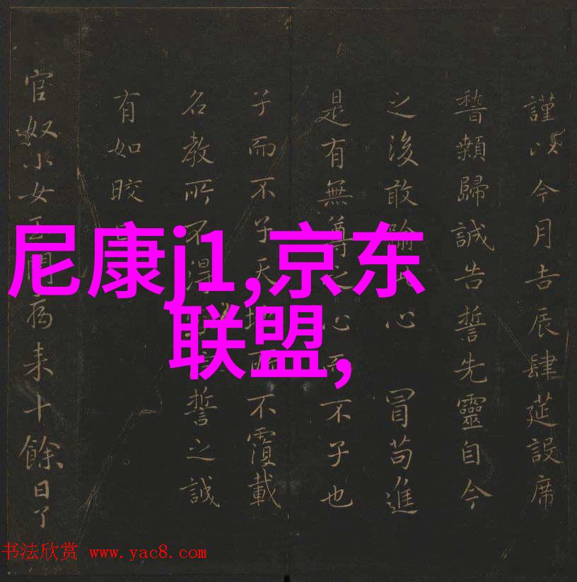 tjh25型高效波纹规整填料 - tjh25型高效波纹规整填料提升建造速度与质量的创新材料