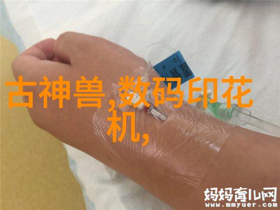 冰冷的秘密冷库制冷设备背后的谜团